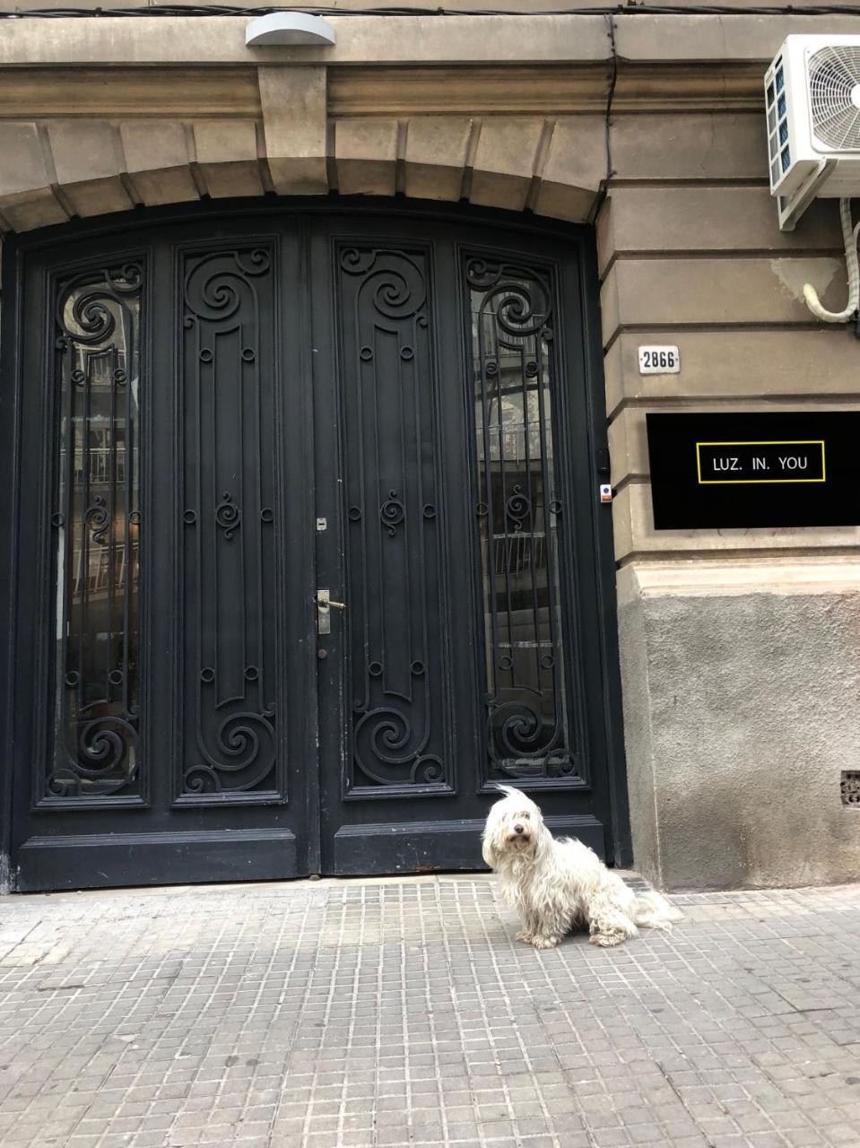 Luz In You Montevideo Exterior photo